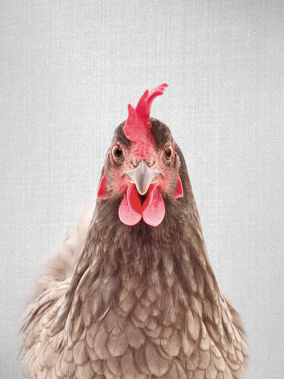 Αφίσα Chicken