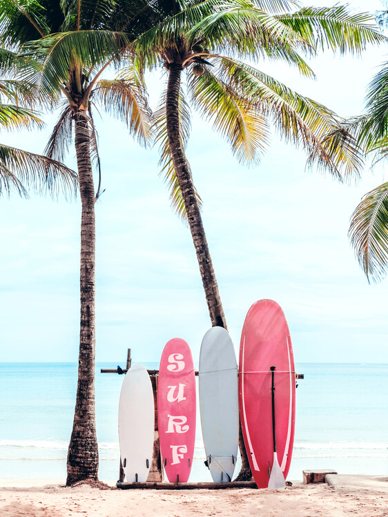 Poster Choose Your Surfboard in Pink
