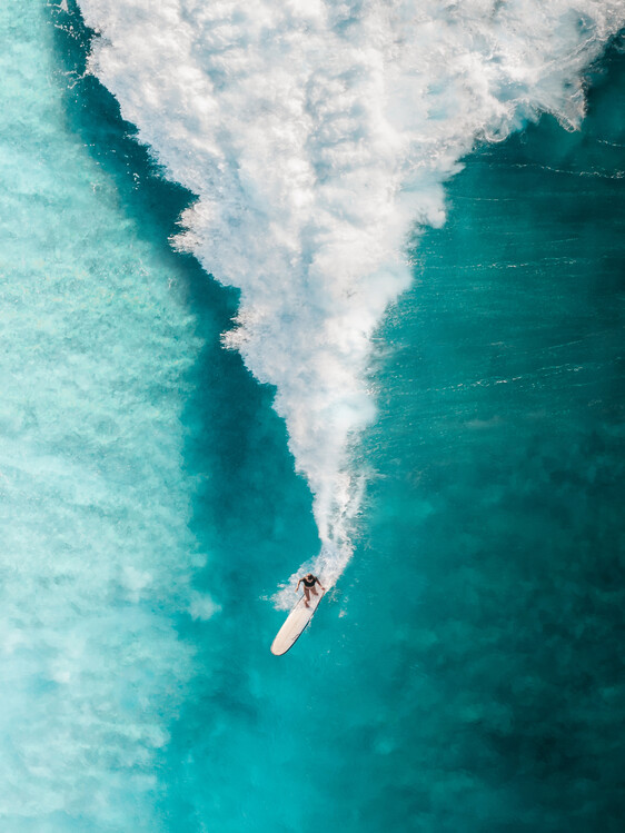 Poster Surf Down