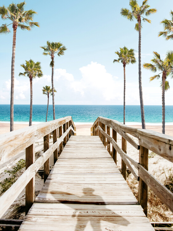 Poster Surfer's Broadwalk