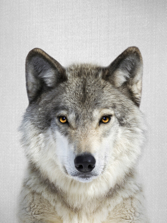 Poster Wolf