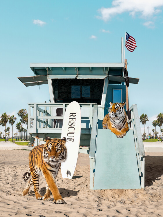 Poster Tigers To The Rescue