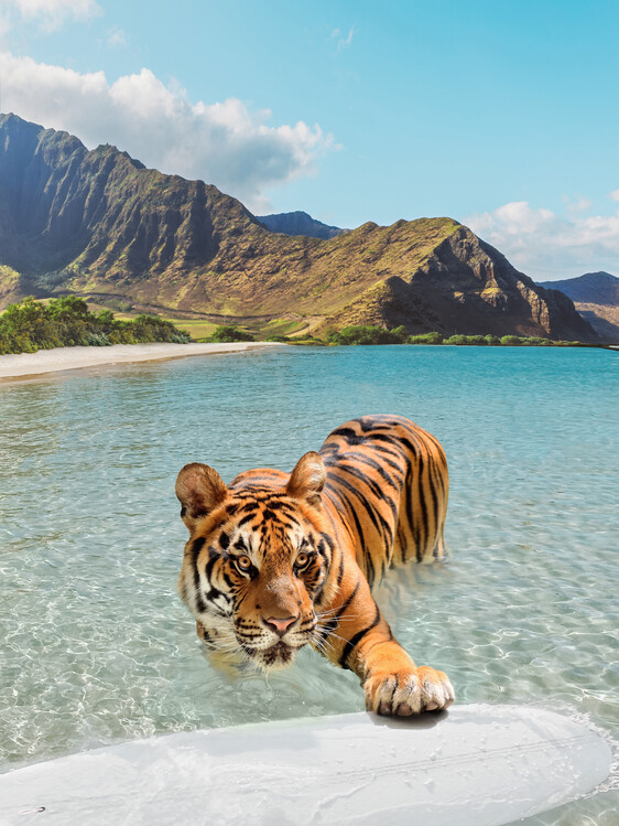 Poster Tiger and Surfboard