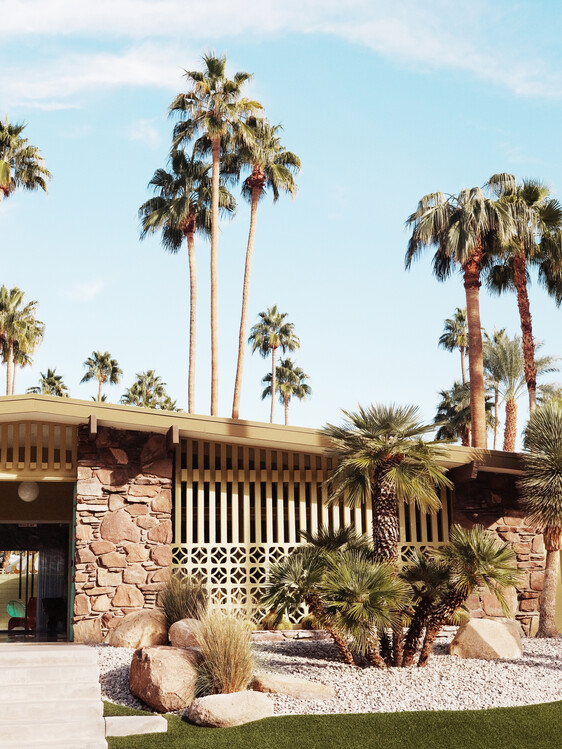 Poster Summer Day At Palm Springs