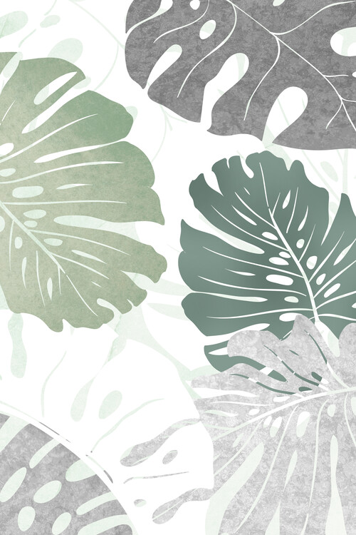 Poster Monstera Leafes