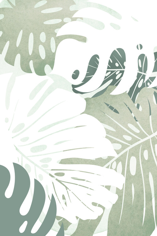 Poster Monstera Leafes