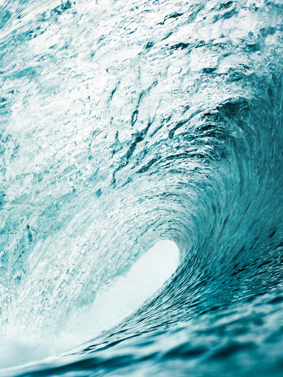 Poster The Wave