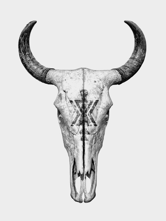 Poster Cow Skull