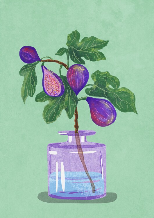 Poster Figs Branch In Vase