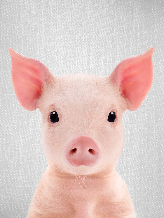 Plakát Piglet