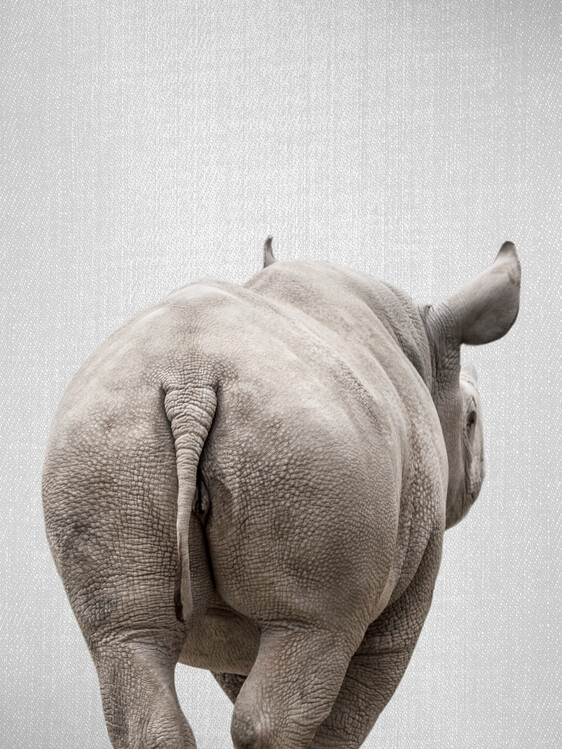 Plakat Rhino Tail