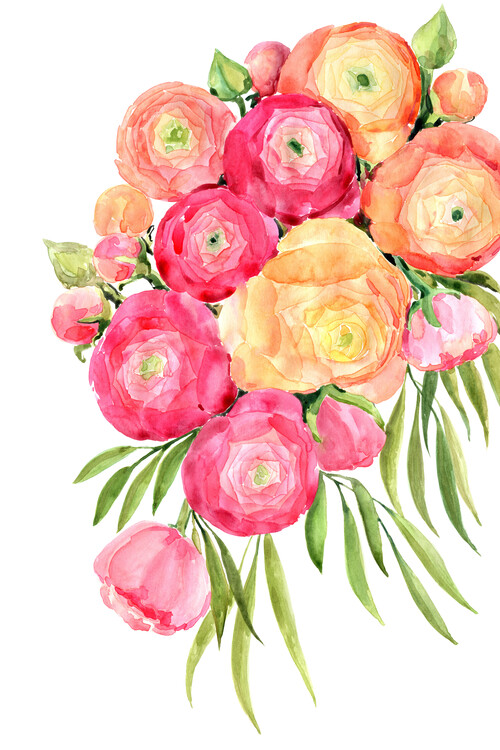 Poster Sanyai ranunculus