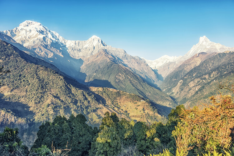 Plakat Himalayan Range