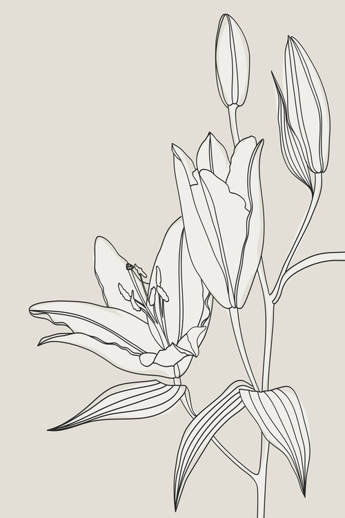 Plakát Line art lilies in beige