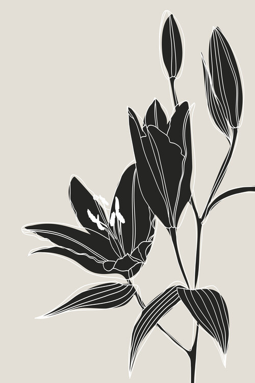 Plakát Line art lilies in black