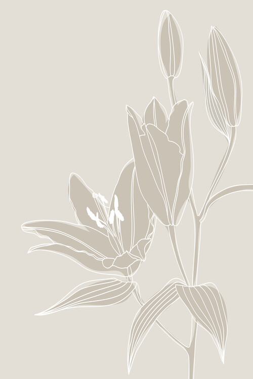 Plakát Line art lilies in white