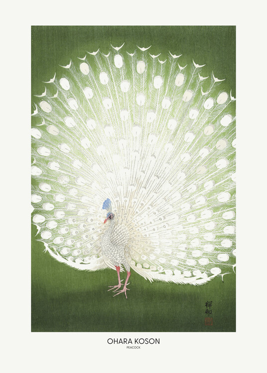 Poster Peacock - Cropped