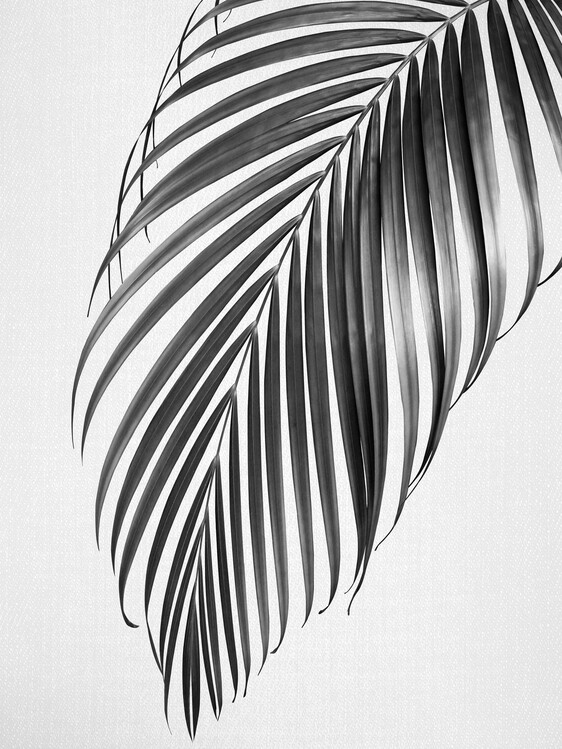 Плакат Palm Leaf - Black & White