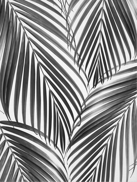 Плакат Palm Leaves - Black & White