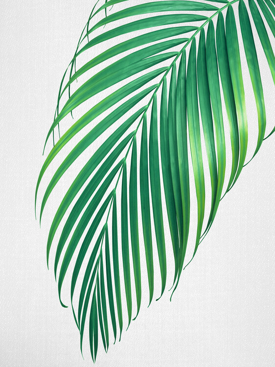 Poster Palm Leaf