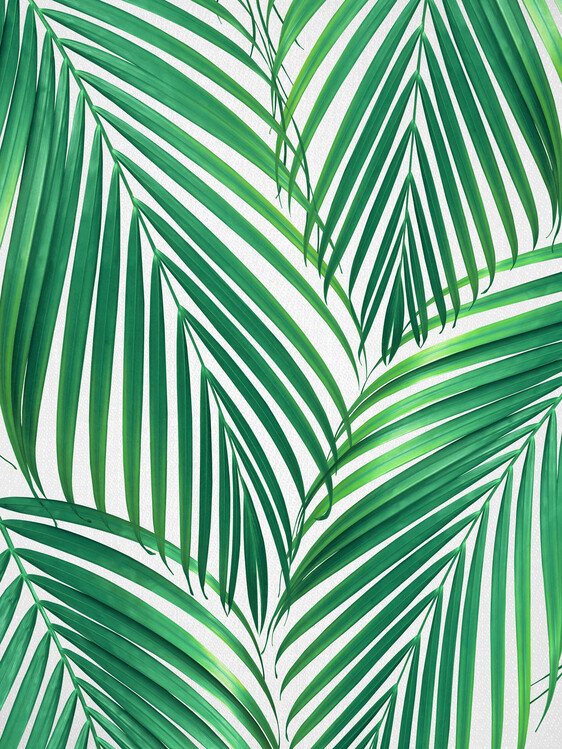 Poster Palm Leaves