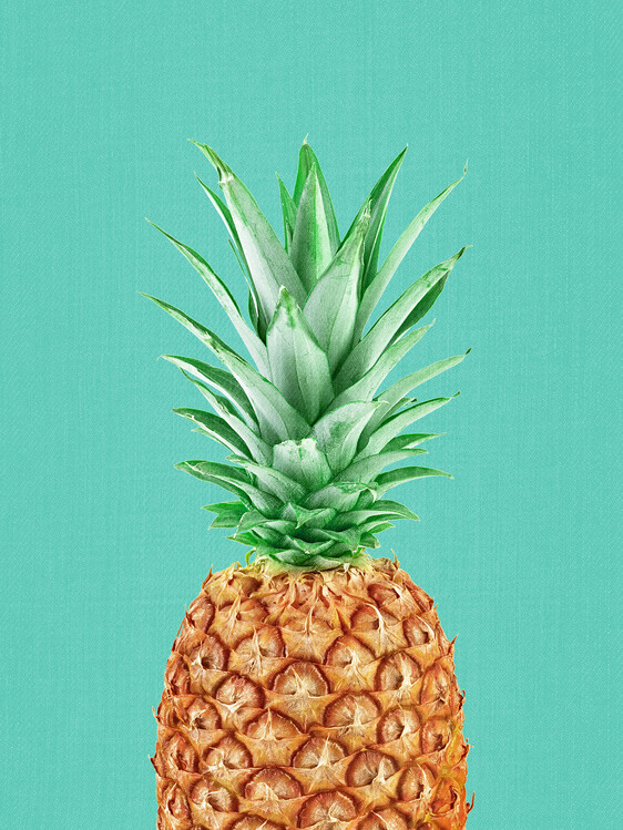 Canvas Print Pineapple in Blue