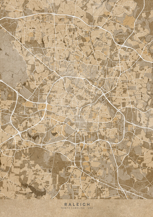 Juliste Map of Raleigh (NC, USA) in sepia vintage style