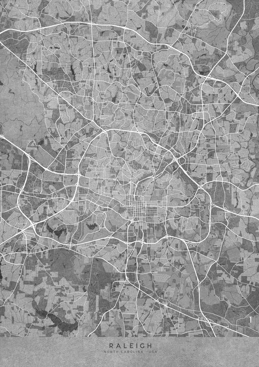 Juliste Map of Raleigh (NC, USA) in gray vintage style