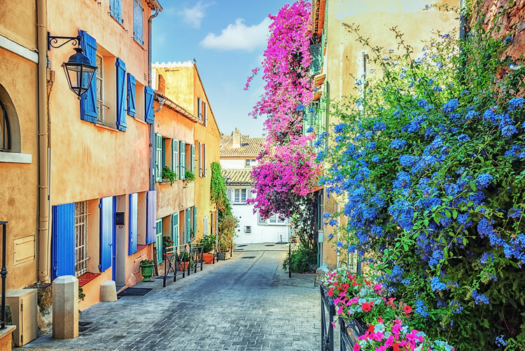 Poster Flowers St Tropez