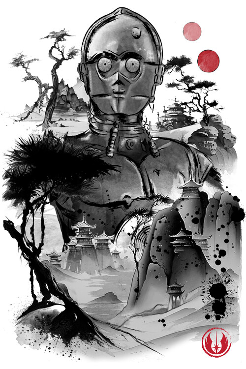 Bild auf Leinwand Protocol droid in the desert planet