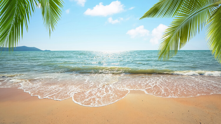 Poster Tropical Vibes