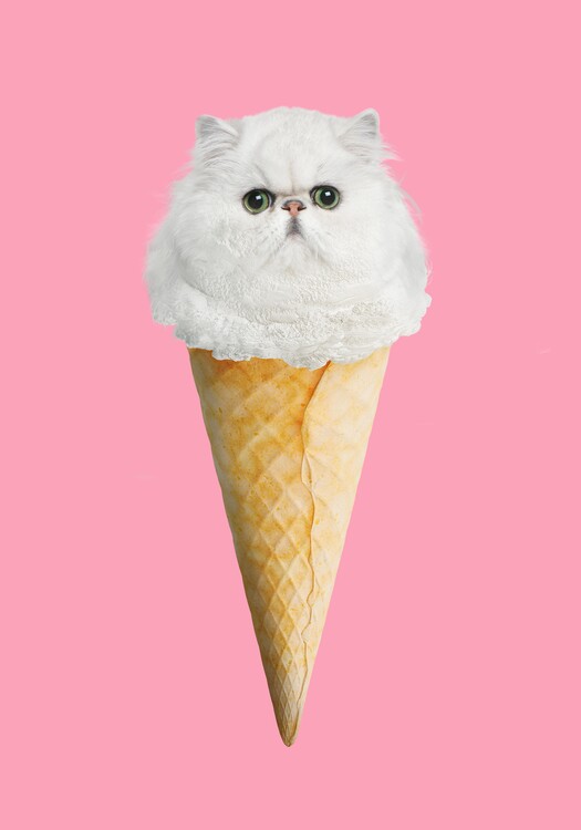 Poster Kitty Ice #1