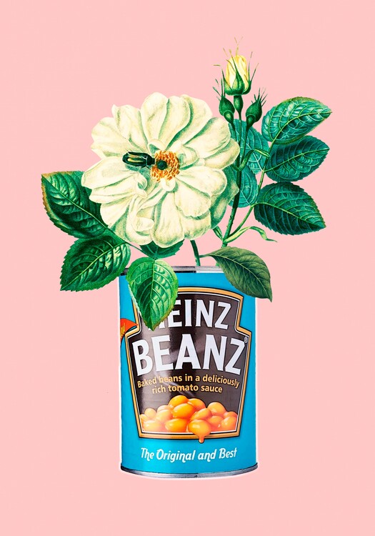 Poster Beanz Flowers