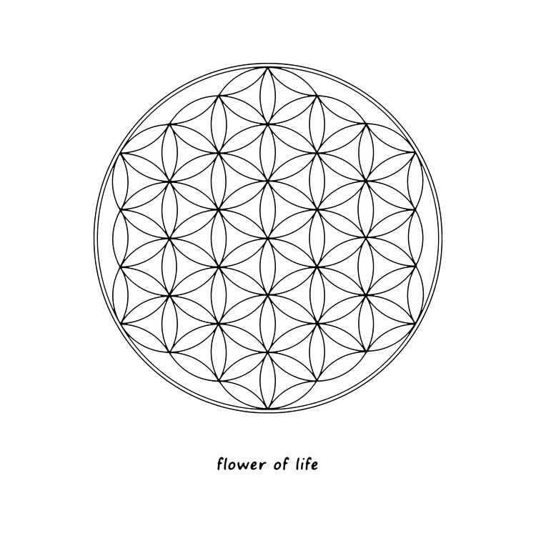 Poster Flower of Life