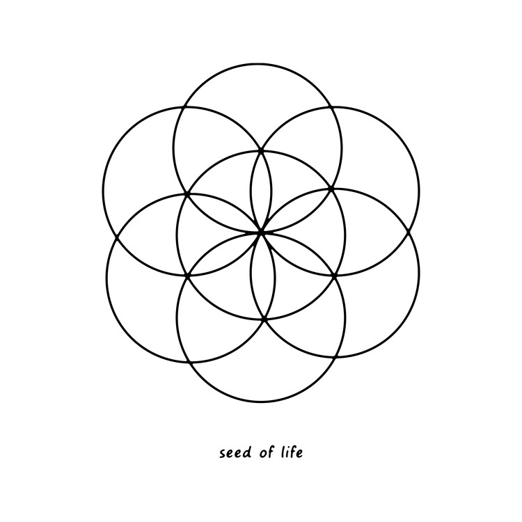 Poster Seed of Life