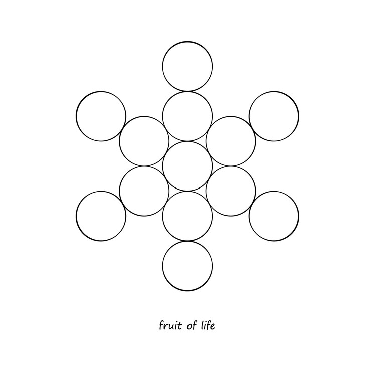 Poster Fruit of Life