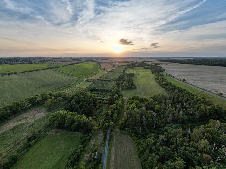 Poster Sunset above the landscape