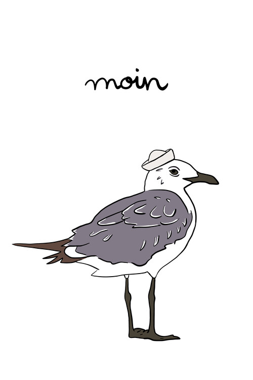 Poster Moin Möwe