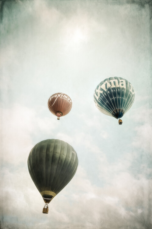 Canvas Print Freedom