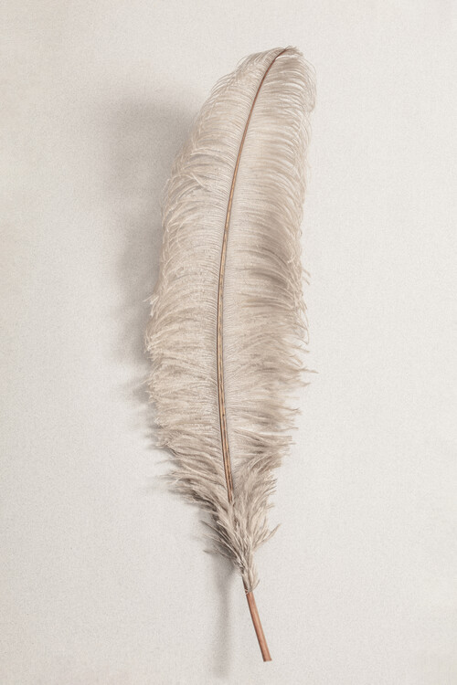 Плакат Feather_002