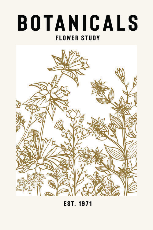 Levně Plakát, Obraz - Botanicals Flower Study Ii, jay stanley, 26.7 × 40 cm