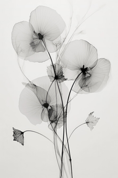 Poster Transparent Botanic No1