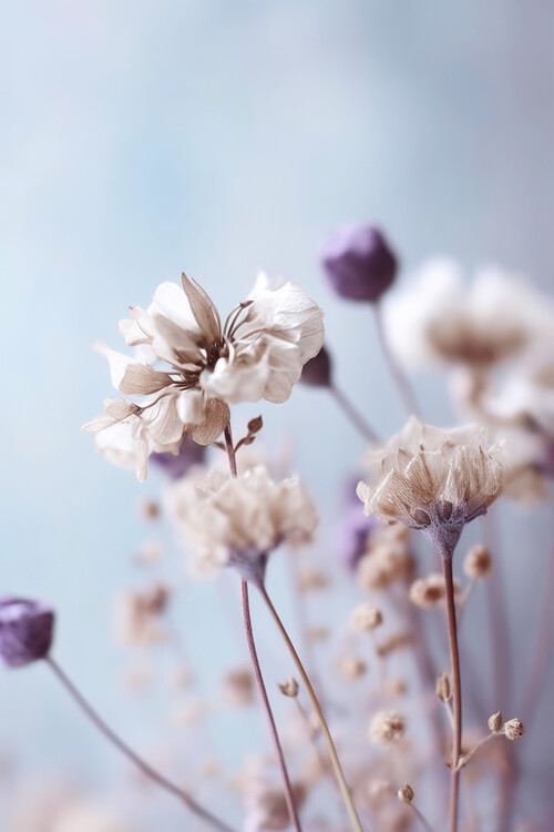 Poster Pastel Dry Flowers No 4