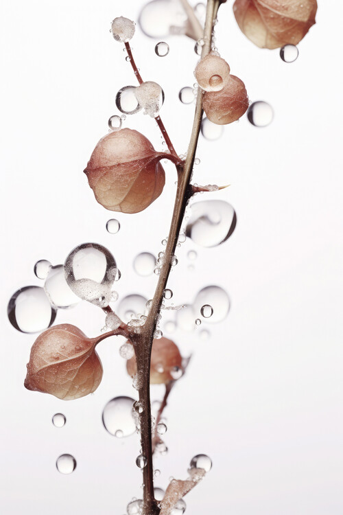 Levně Plakát, Obraz - Drops On Leaf, Treechild, 26.7 × 40 cm