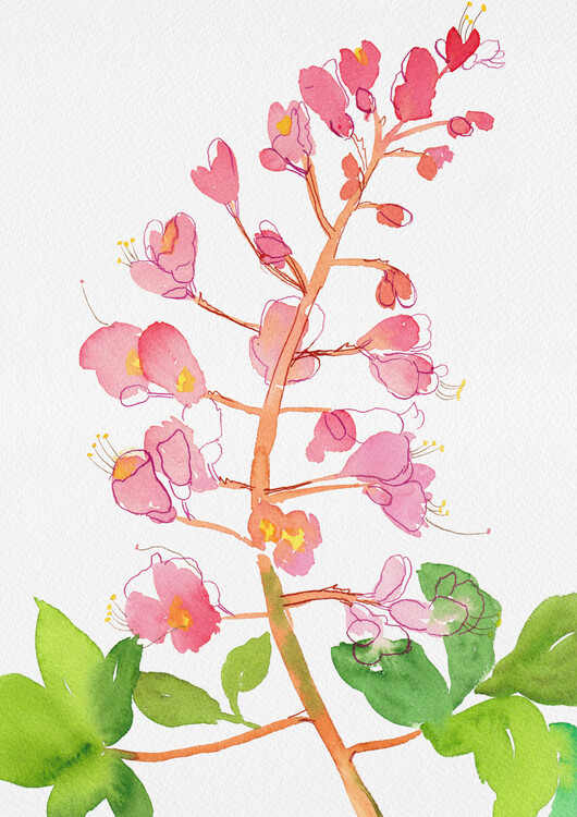 Levně Plakát, Obraz - Red horse-chestnut or Aesculus A carnea with watercolor and ink, Kata Botanical, 30 × 40 cm