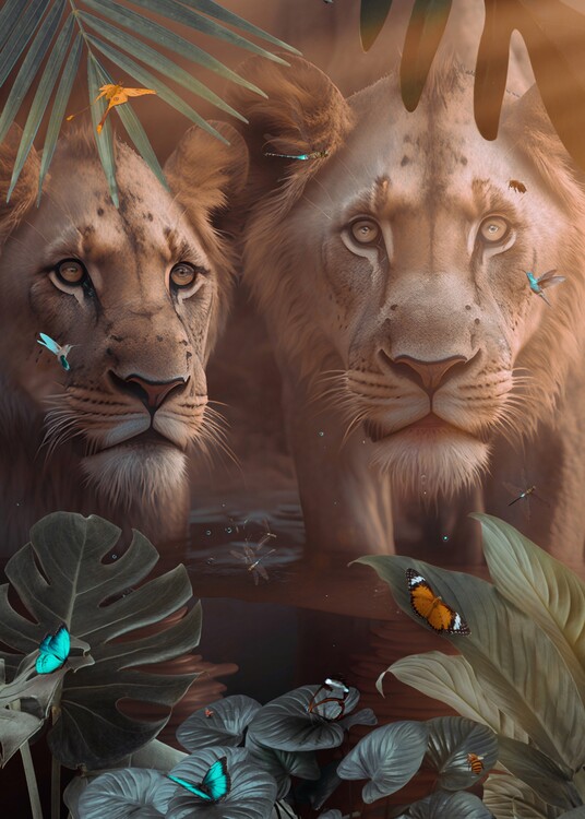 Plagát Lions in love in tropical jungle