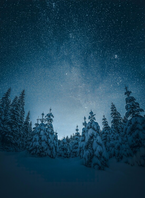 Плакат Night Sky Stars
