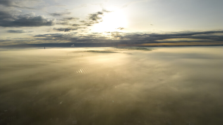 Poster Foggy sunrise