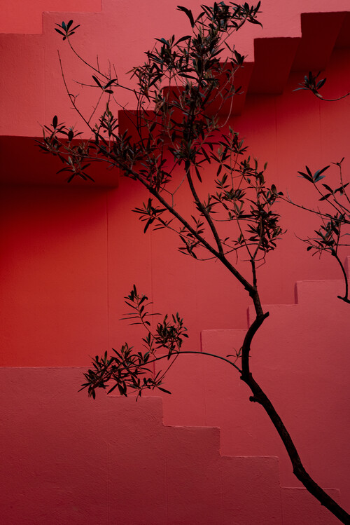 Poster Muralla Roja #14