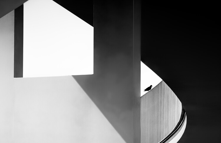 Canvas Print View through